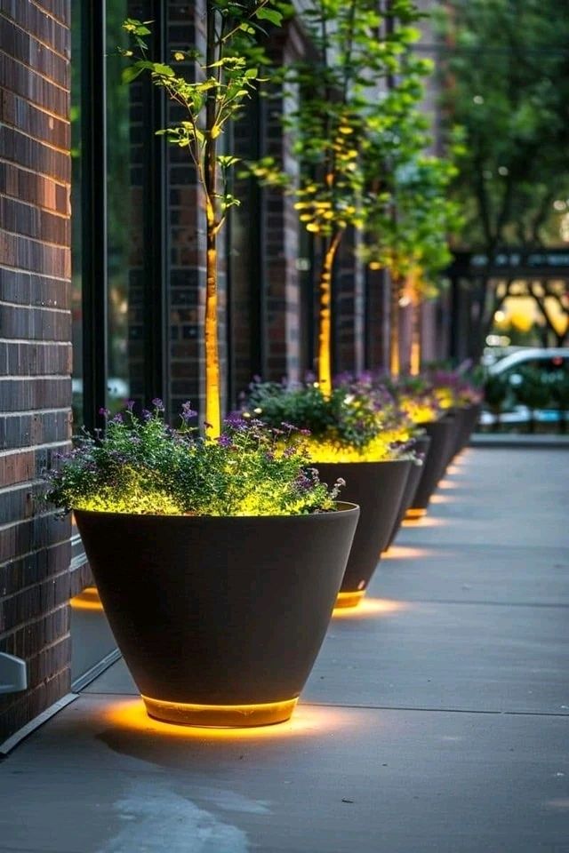 Indoor and Outdoor Plant Decor - Image 5