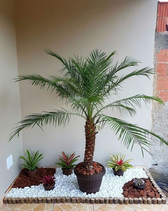 Indoor and Outdoor Plant Decor - Image 3