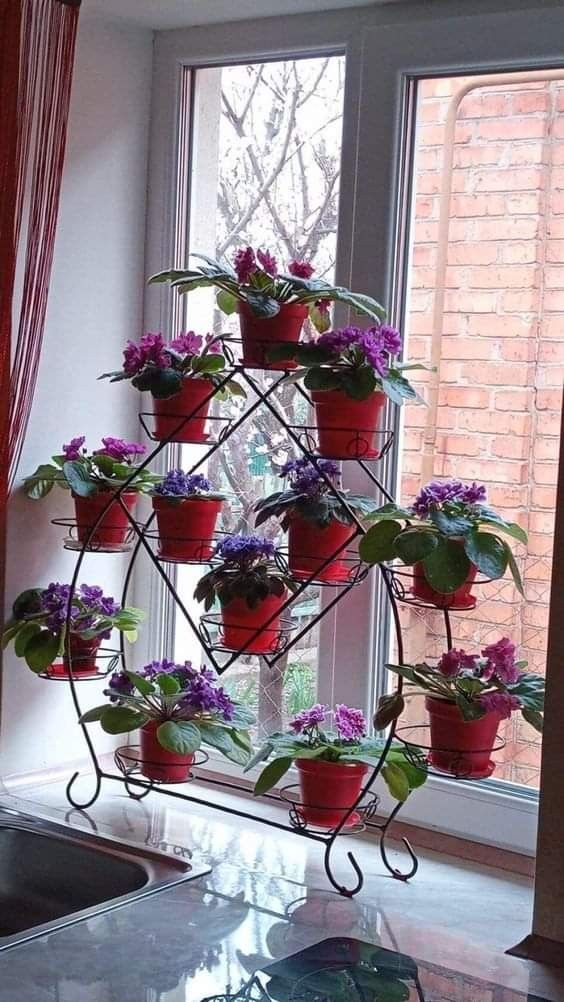 Indoor and Outdoor Plant Decor - Image 24