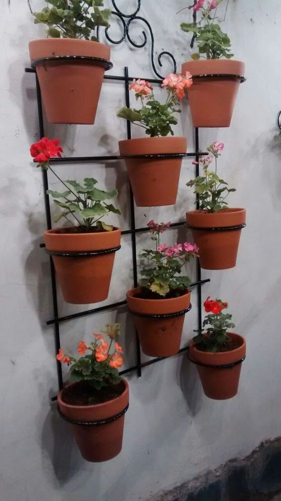 Indoor and Outdoor Plant Decor - Image 25