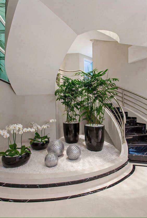 Indoor and Outdoor Plant Decor - Image 17